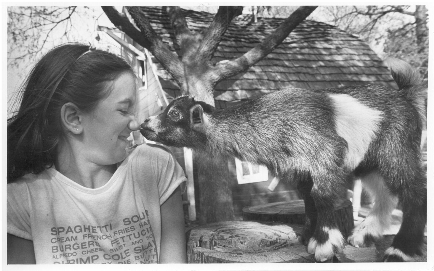 Lincoln Children's Zoo 50th Anniversary